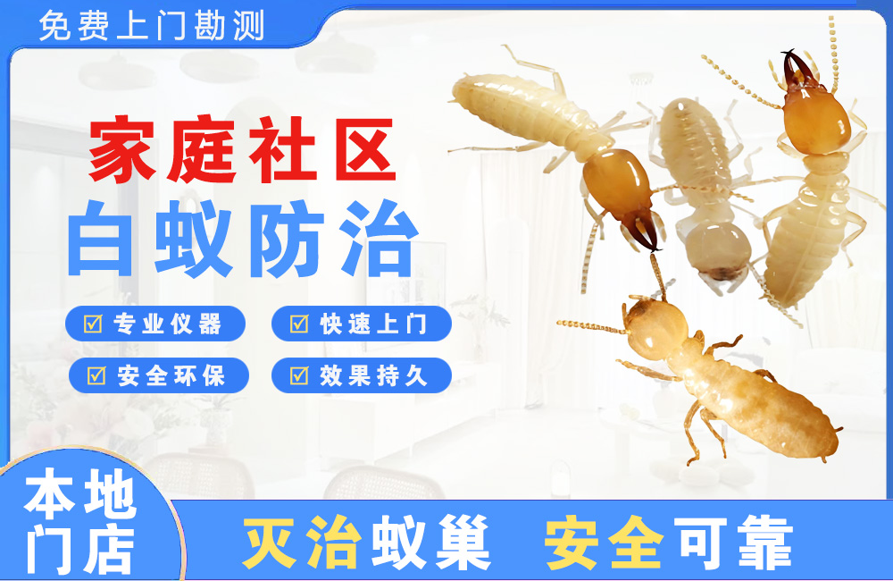 慈溪家庭社区白蚁防治