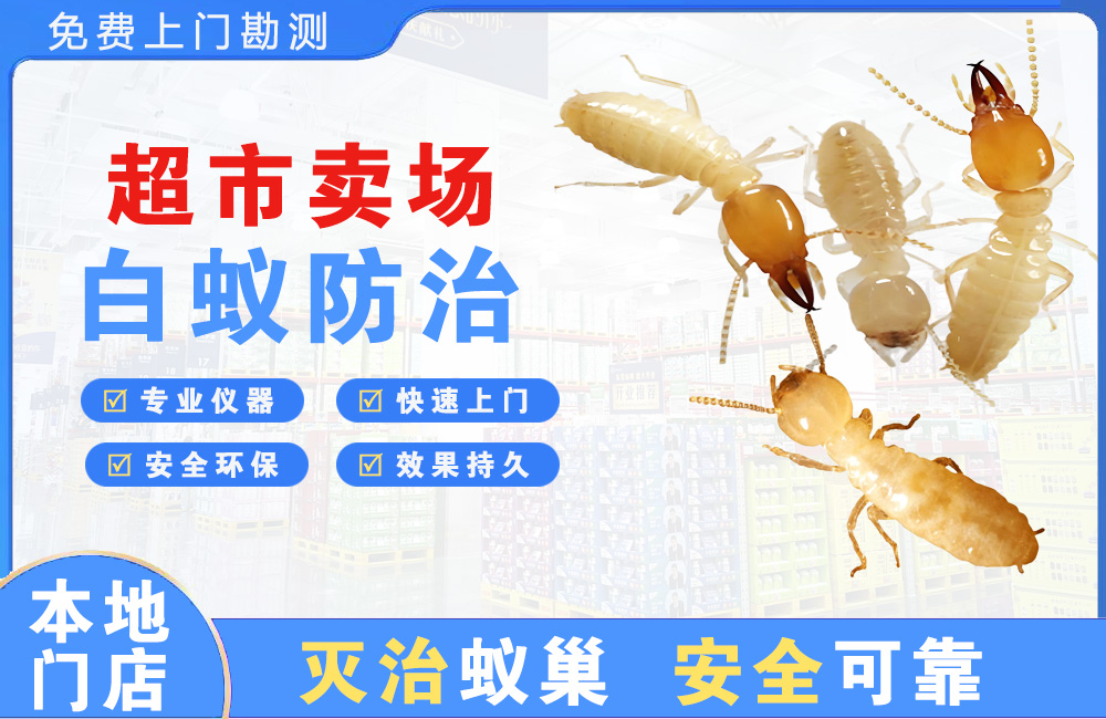 慈溪超市卖场白蚁防治