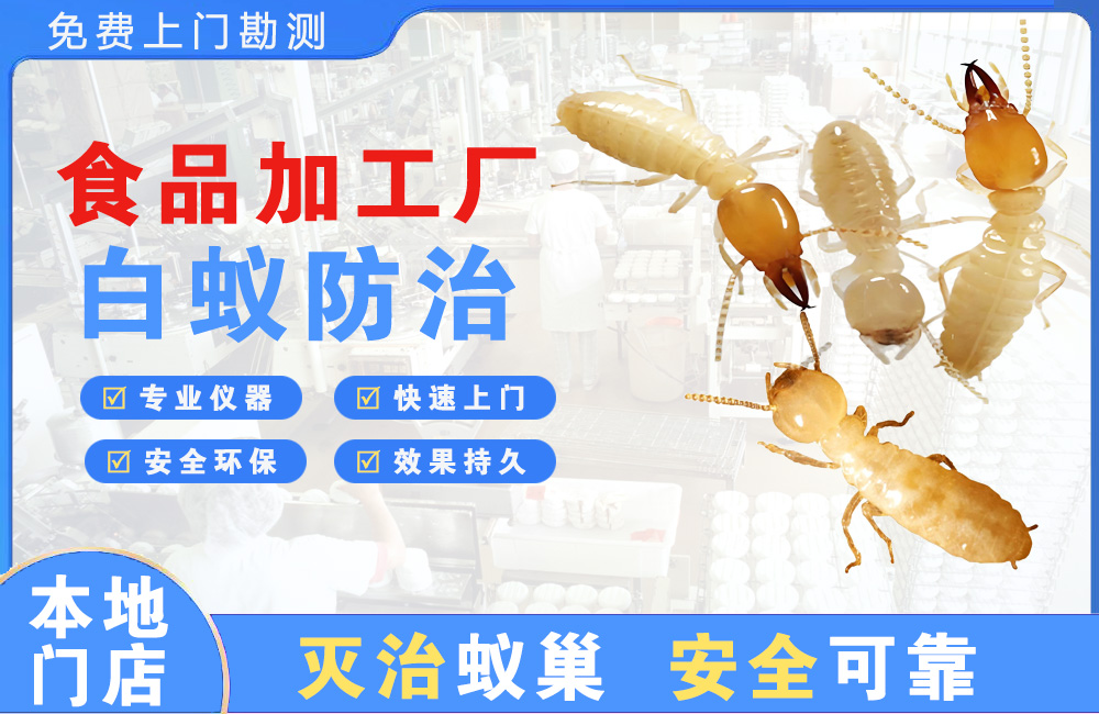 慈溪食品加工厂白蚁防治