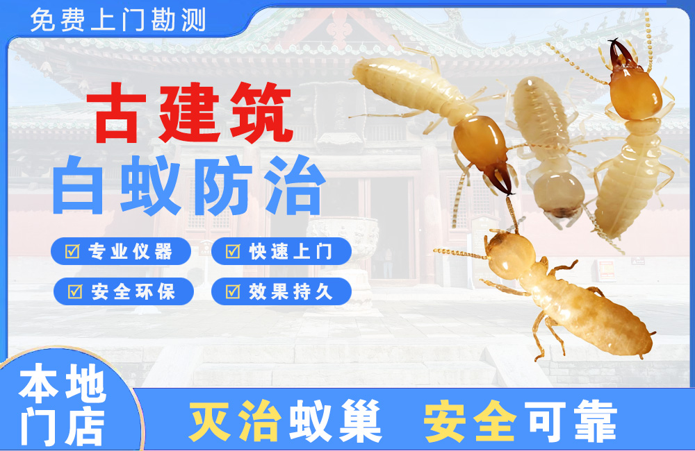 慈溪古建筑白蚁防治