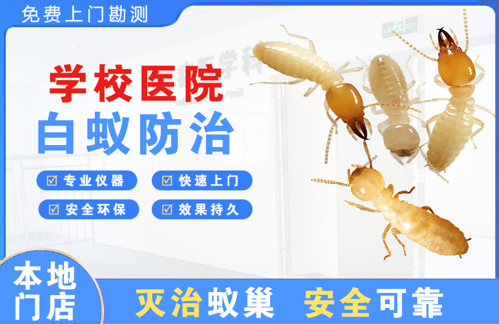 慈溪学校医院白蚁防治
