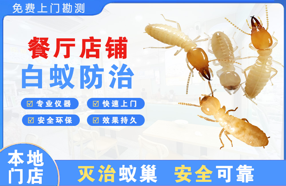 慈溪餐厅店铺白蚁防治